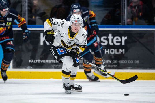 Västerås Ludvig Östman