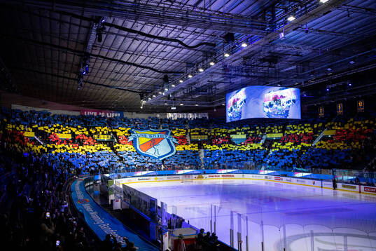 Tifo