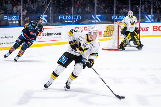 Västerås Ludvig Östman