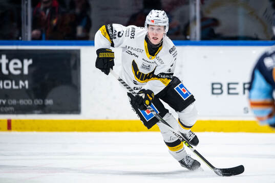 Västerås Ludvig Östman
