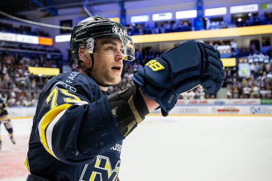 HV71s Radan Lenc jublar