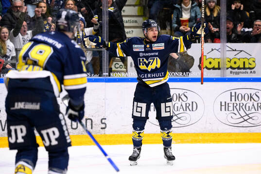 HV71s Radan Lenc jublar