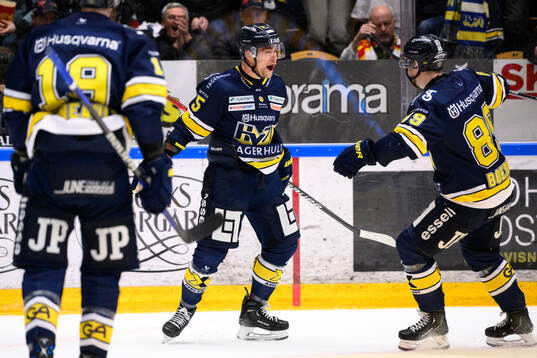 HV71s Radan Lenc jublar