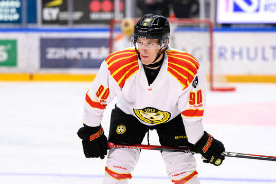 Brynäs David Sklenicka deppar