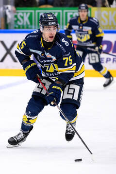 under ishockeymatchen i SHL mellan HV71 och Brynäs