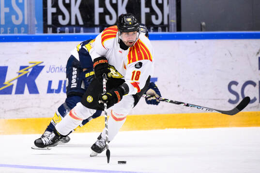 Brynäs Anton Rödin