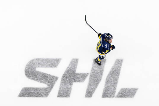 HV71s Mattias Tedenby
