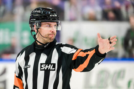 Domare Johan Magnusson