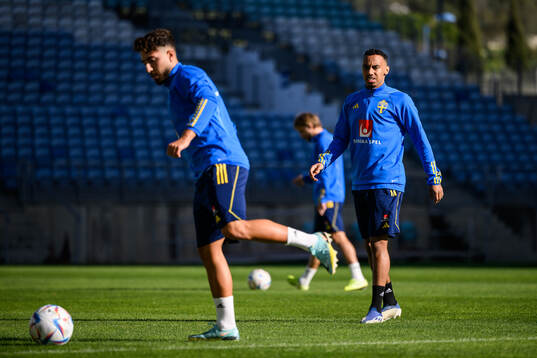 Moustafa Zeidan and Bilal Hussein of the Swedish men's