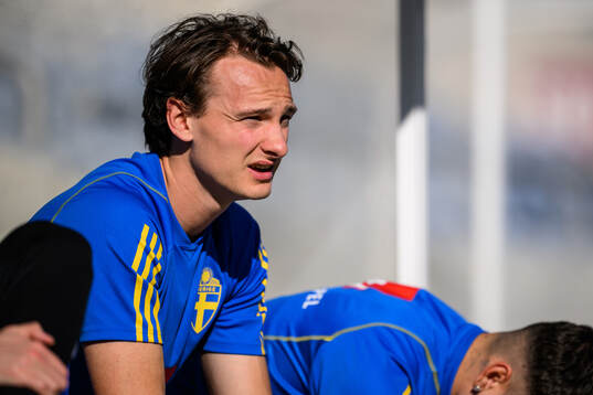Hjalmar Ekdal of the Swedish men's football national team