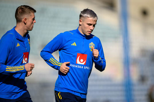 Alexander Bernhardsson and Jacob Ondrejka of the Swedish