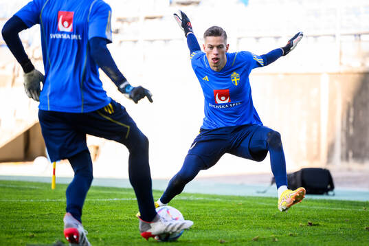 goalkeeper Leopold Wahlstedt of the Swedish men's football