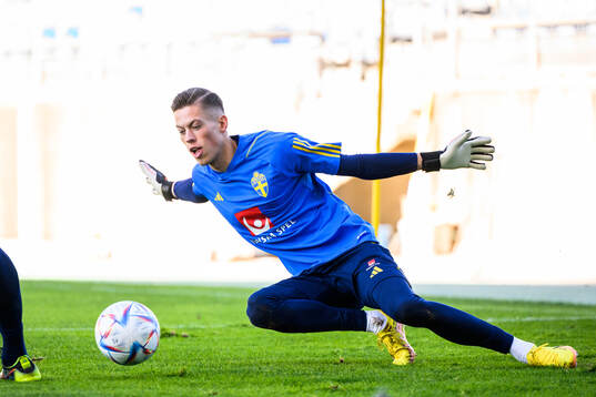 goalkeeper Leopold Wahlstedt of the Swedish men's football