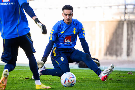 goalkeeper Oliver Dovin of the Swedish men's football