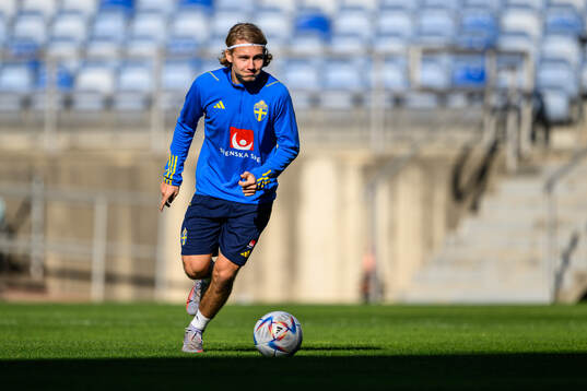 Sebastian Nanasi of the Swedish men's football national