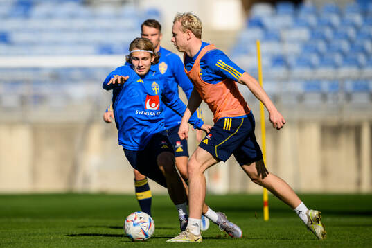 Sebastian Nanasi and André Boman of the Swedish men's