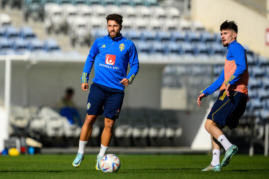 Moustafa Zeidan and Armin Gigovic of the Swedish men's