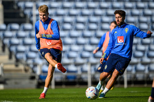 Samuel Gustafson and Moustafa Zeidan of the Swedish men's