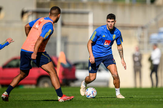 Edvin Kurtulus of the Swedish men's football national team