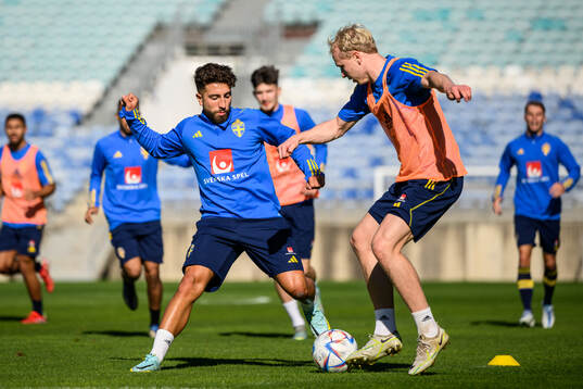 Moustafa Zeidan and André Boman of the Swedish men's