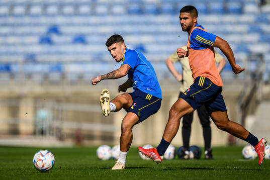 Edvin Kurtulus and Omar Faraj of the Swedish men's football
