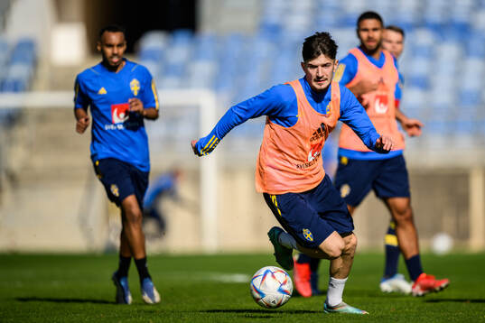 Armin Gigovic of the Swedish men's football national team