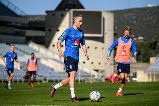 Jacob Ondrejka and Samuel Gustafson of the Swedish men's