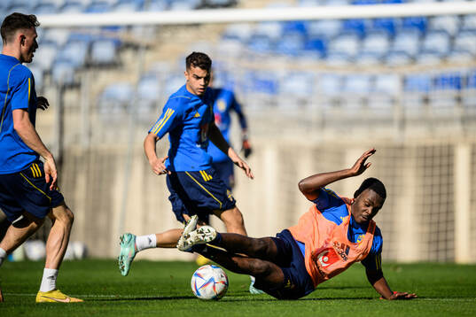 Joel Asoro of the Swedish men's football national team at a