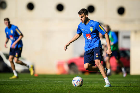 Yasin Ayari of the Swedish men's football national team at