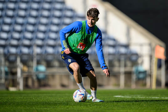 Armin Gigovic of the Swedish men's football national team