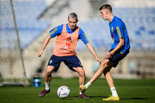 Jacob Ondrejka and Alexander Bernhardsson of the Swedish