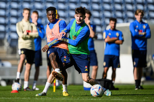 Josafat Mendes and Armin Gigovic of the Swedish men's