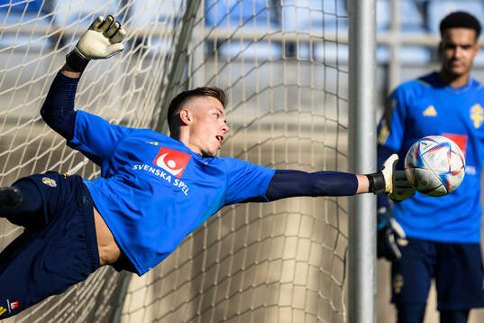 goalkeeper Leopold Wahlstedt of the Swedish men's football