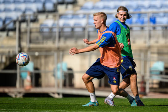 Carl Gustafsson of the Swedish men's football national team