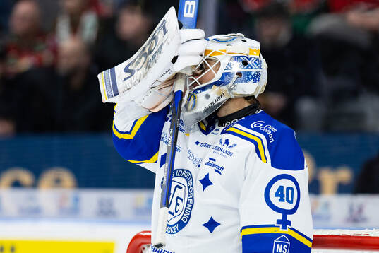 Leksands målvakt Mantas Armalis