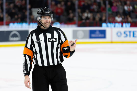 Domare Mikael Sjöqvist