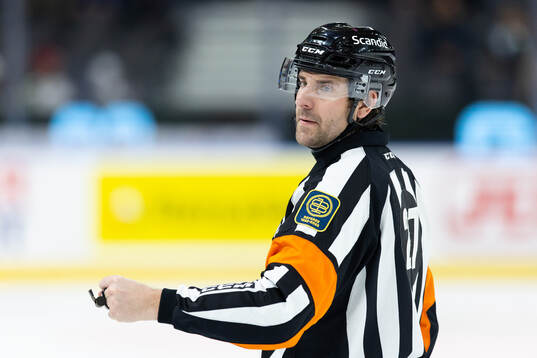 Domare Mikael Sjöqvist