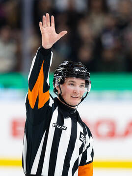Domare Alexander Österberg