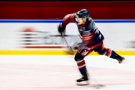 Linköpings Petrus Palmu