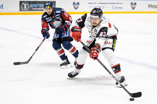 Linköpings Markus Ljungh och Malmö Redhawks Fredrik