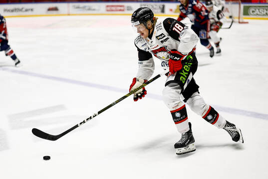 Malmö Redhawks Marcus Sylvegård