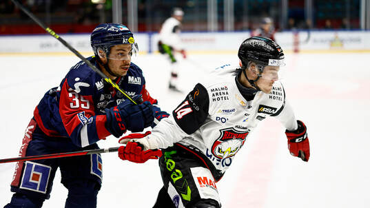 Linköpings Ty Rattie och Malmö Redhawks Carl-Johan Lerby