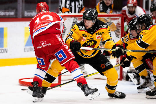 Timrås Nicholas Halloran och Luleås Jesper Sellgren