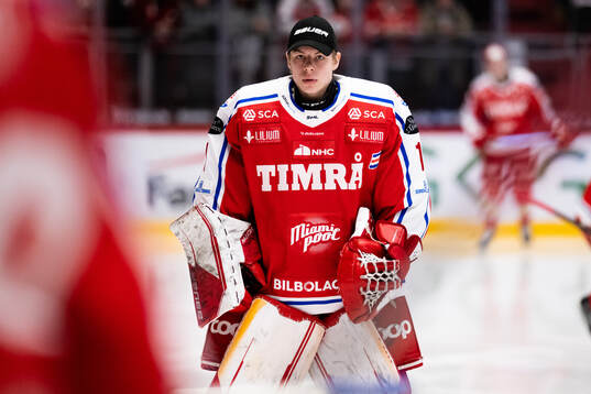 Timrås målvakt Felix Stenmark