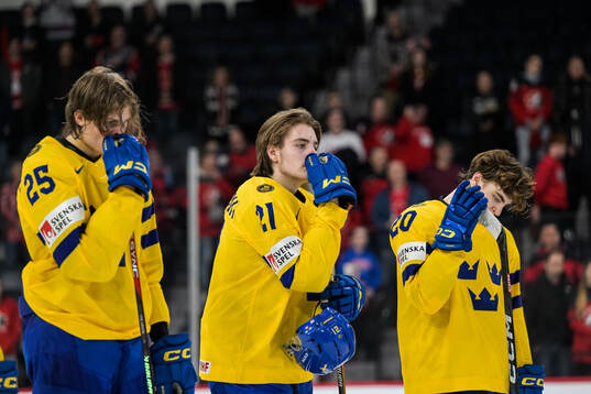 Milton Oscarson, Leo Carlsson and Liam Öhgren of Sweden