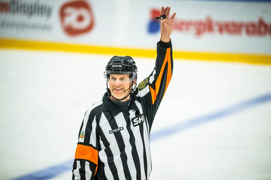 Domare Mikael Nord