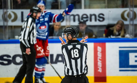 Domare Mikael Nord signalerar för utvisning