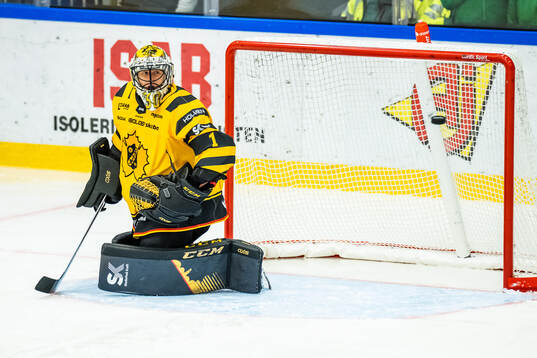 Skellefteås målvakt Alexander Hellnemo