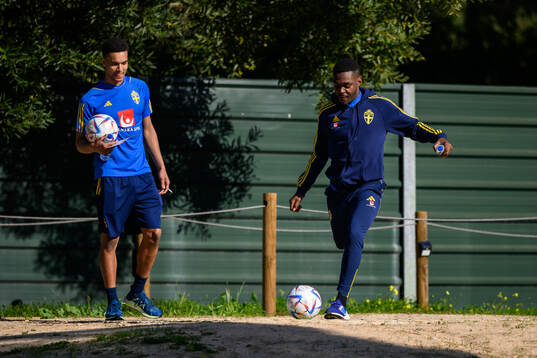 goalkeeper Oliver Dovin and Joel Asoro of the Swedish men's