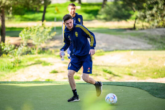 Armin Gigovic of the Swedish men's football national team